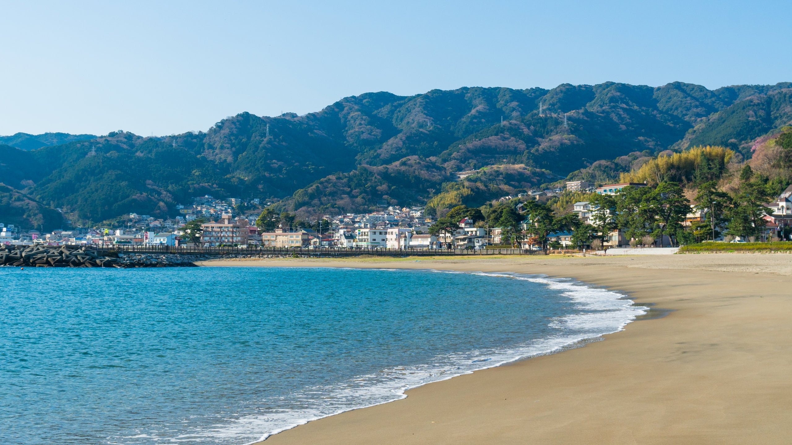 🏞️ 나가하마 해변공원 (長浜海浜公園) 이미지 4